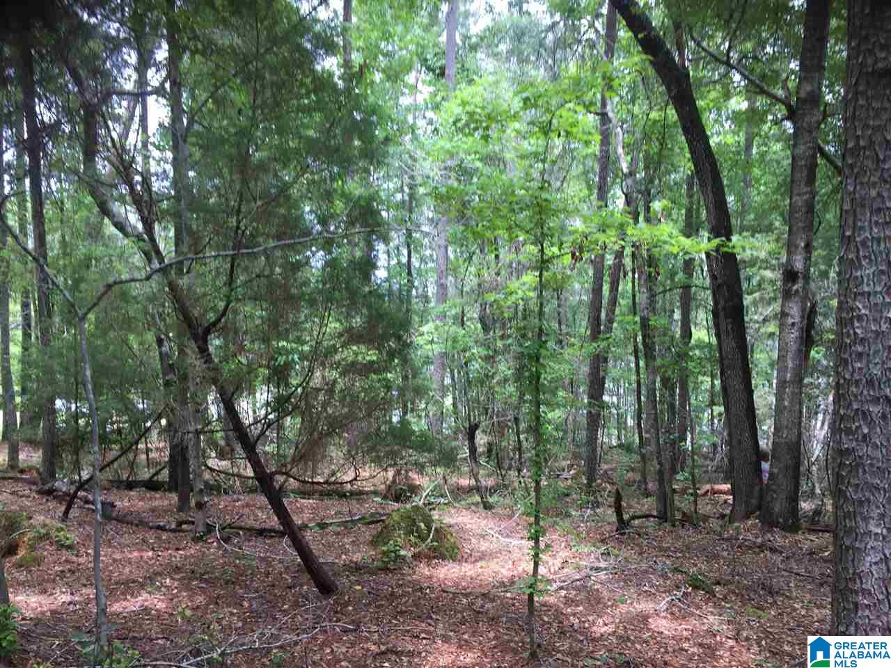 Black Acres Road, Unit 34 Odenville, AL 35120 - Photo 5 of 19