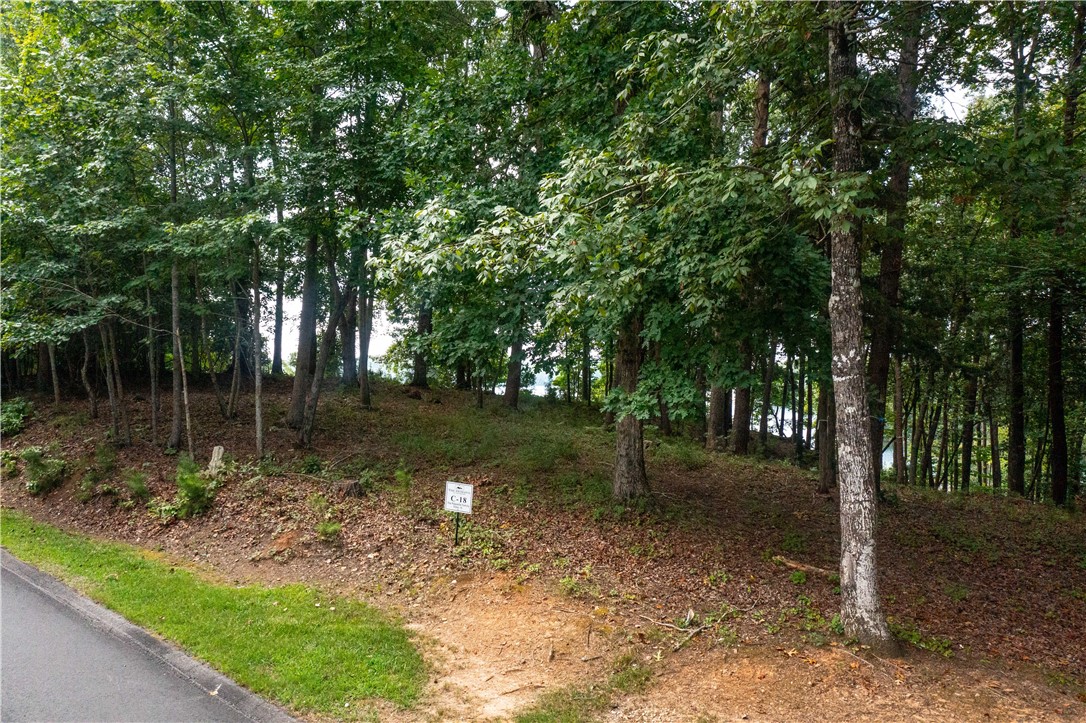 306 East Fort George Way Sunset, SC 29685 - Photo 3 of 11