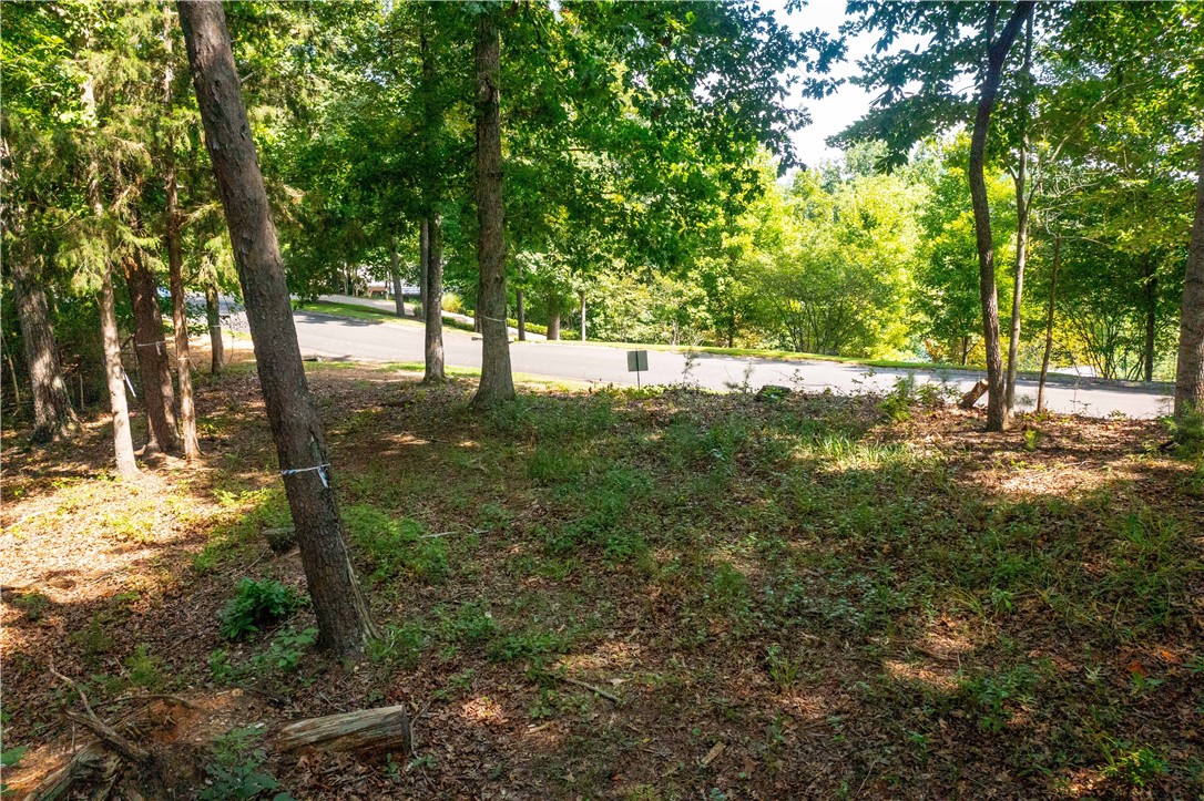 306 East Fort George Way Sunset, SC 29685 - Photo 7 of 11