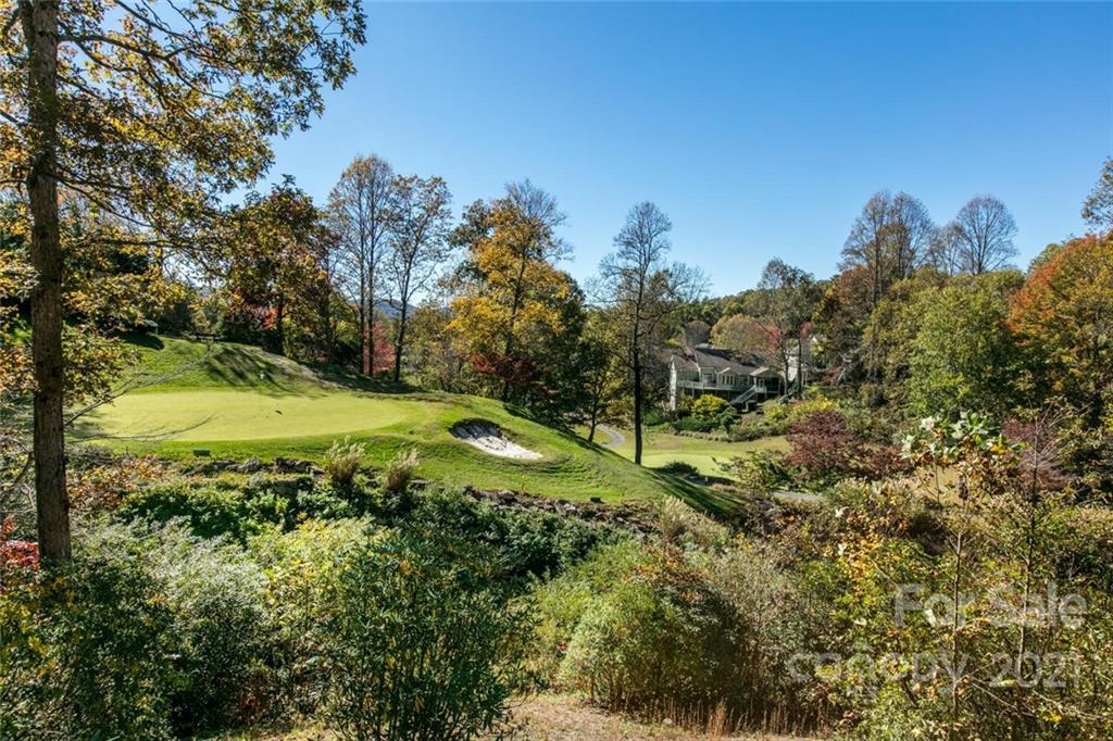 4470 Cove Loop Road Hendersonville, NC 28739 - Photo 34 of 46 Gallery Image 34