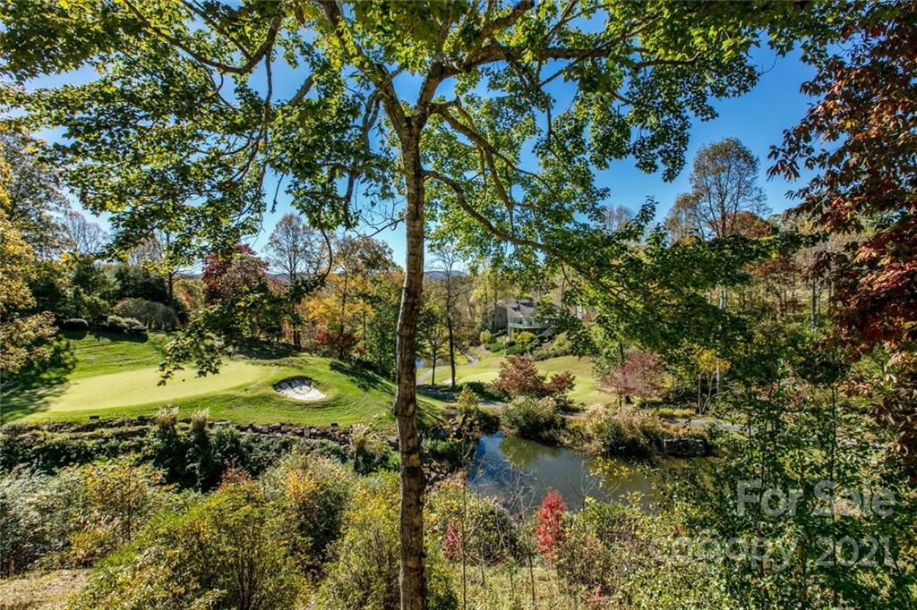 4470 Cove Loop Road Hendersonville, NC 28739 - Photo 35 of 46 Gallery Image 35