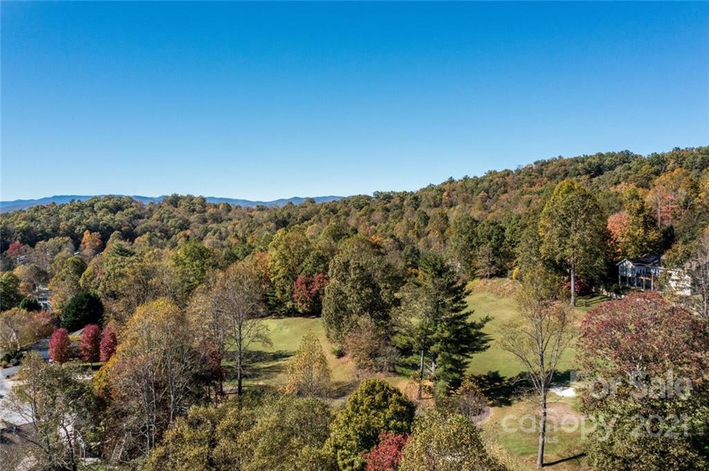 4470 Cove Loop Road Hendersonville, NC 28739 - Photo 43 of 46 Gallery Image 43