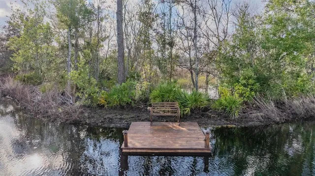 a body of water with a tree in the background