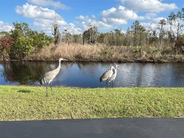 a view of a lake view