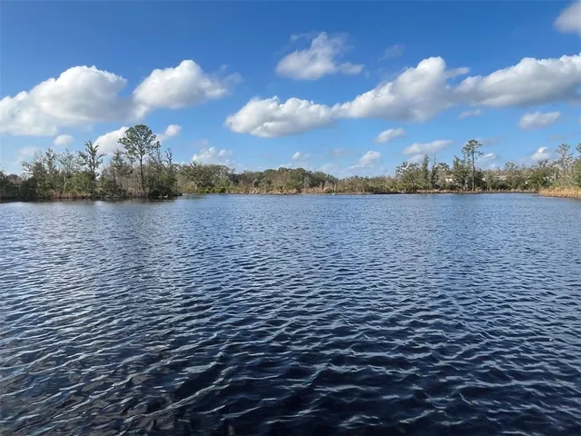 a view of lake and mountain