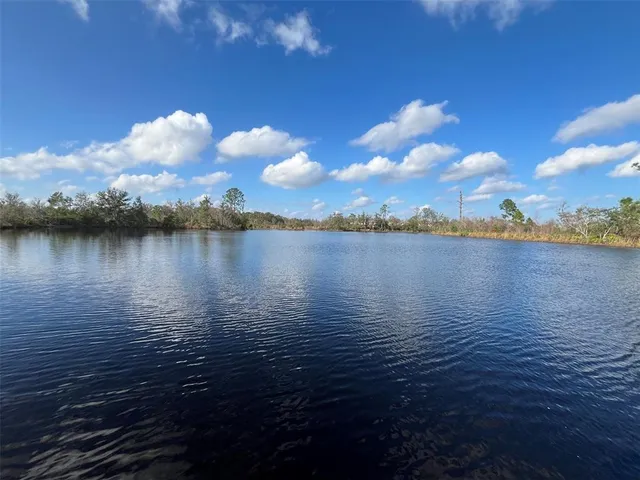 a view of a backyard with plants