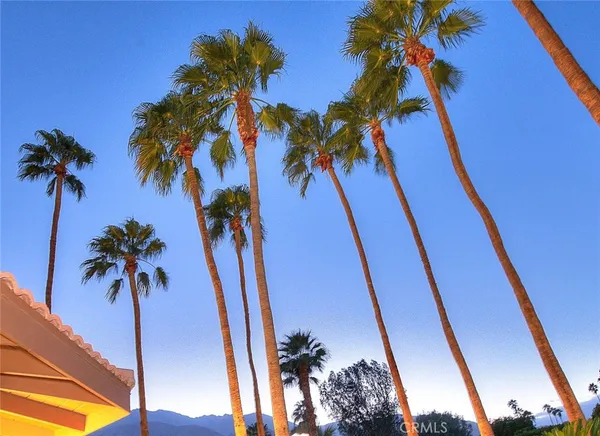 a view of swimming pool with a yard and palm trees
