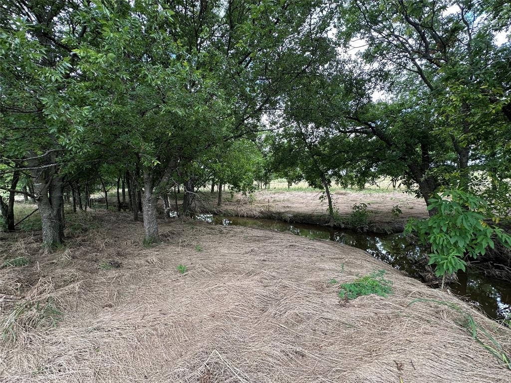 Tbd Krahl Road Valley View, TX 76272 - Photo 20 of 23 A cool spot by the creek