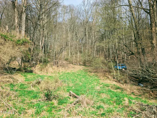 $65,000 | 155 Selfe Drive, Clintwood, VA 24228