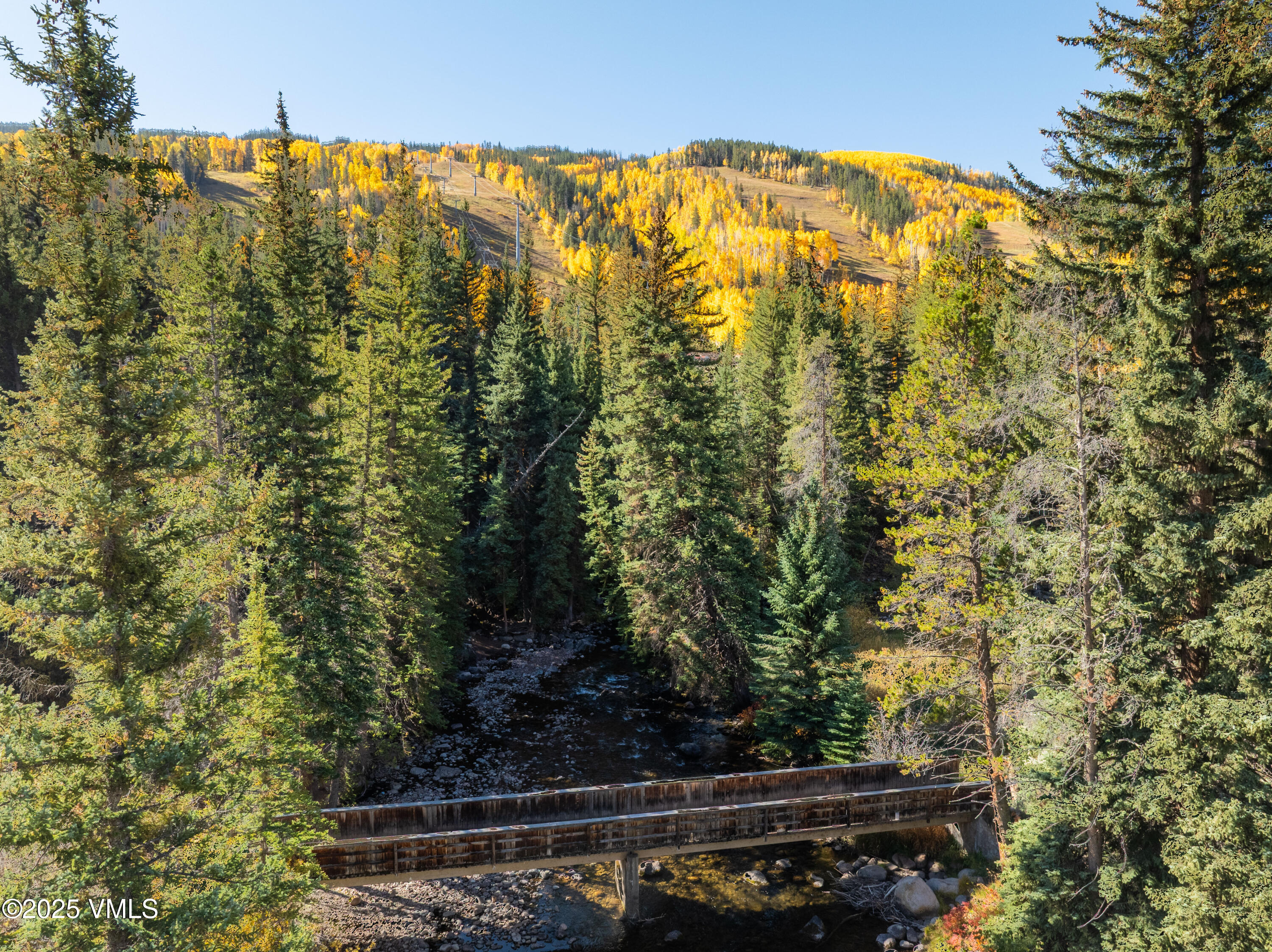 390 East Lionshead Circle, Unit 103 Vail, CO 81657 - Photo 19 of 22 a view of a forest