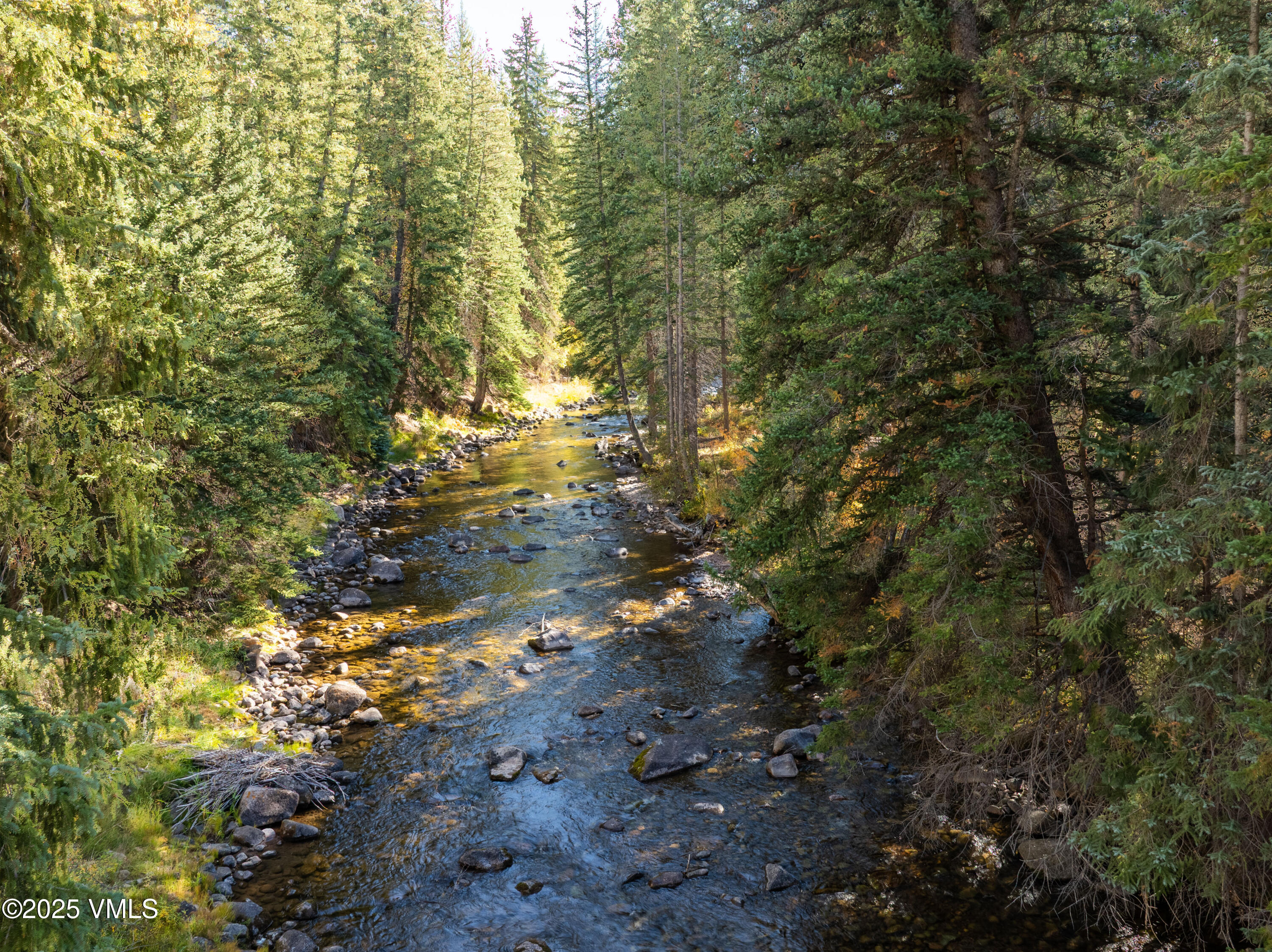 390 East Lionshead Circle, Unit 103 Vail, CO 81657 - Photo 20 of 22 a view of a yard