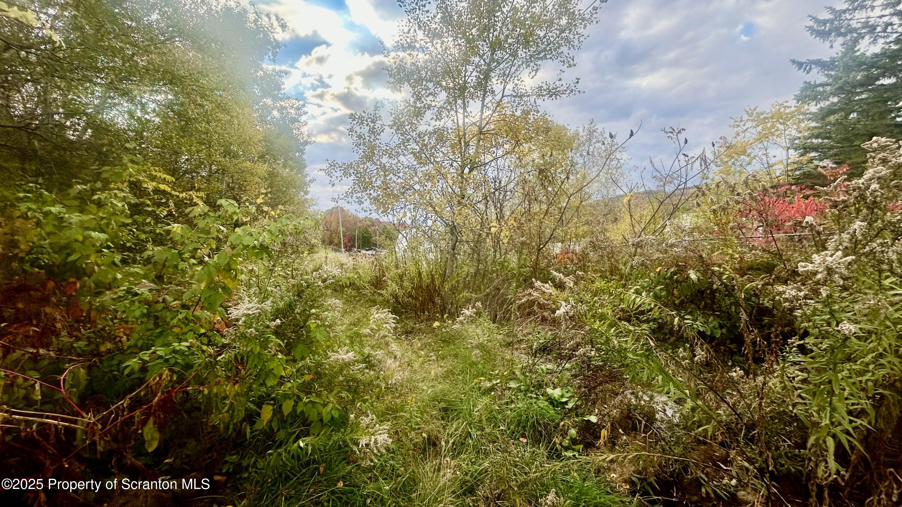 0 Hickory Street Archbald, PA 18403 - Photo 2 of 12 a view of a yard