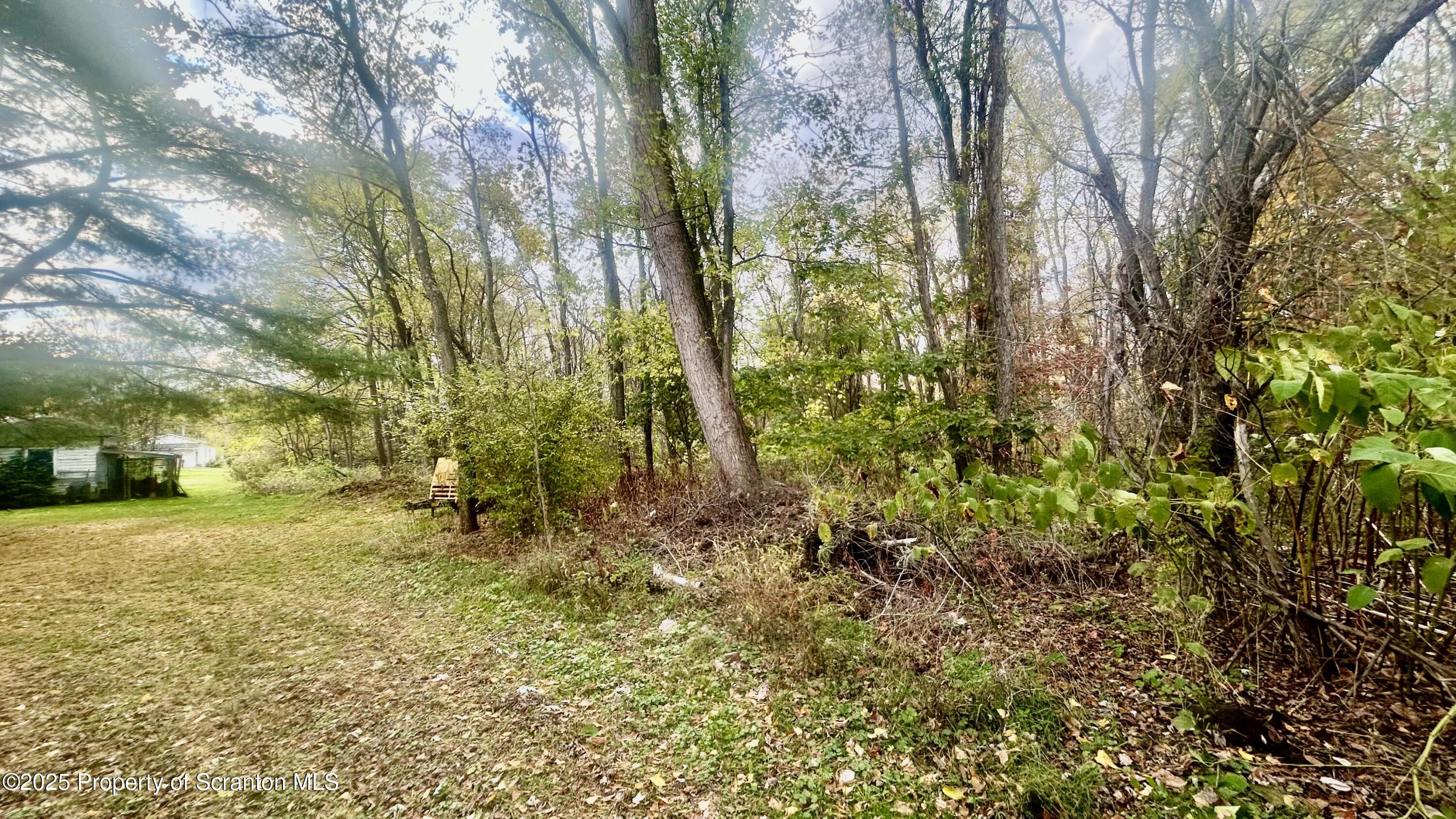 0 Hickory Street Archbald, PA 18403 - Photo 4 of 12 a view of a yard with trees