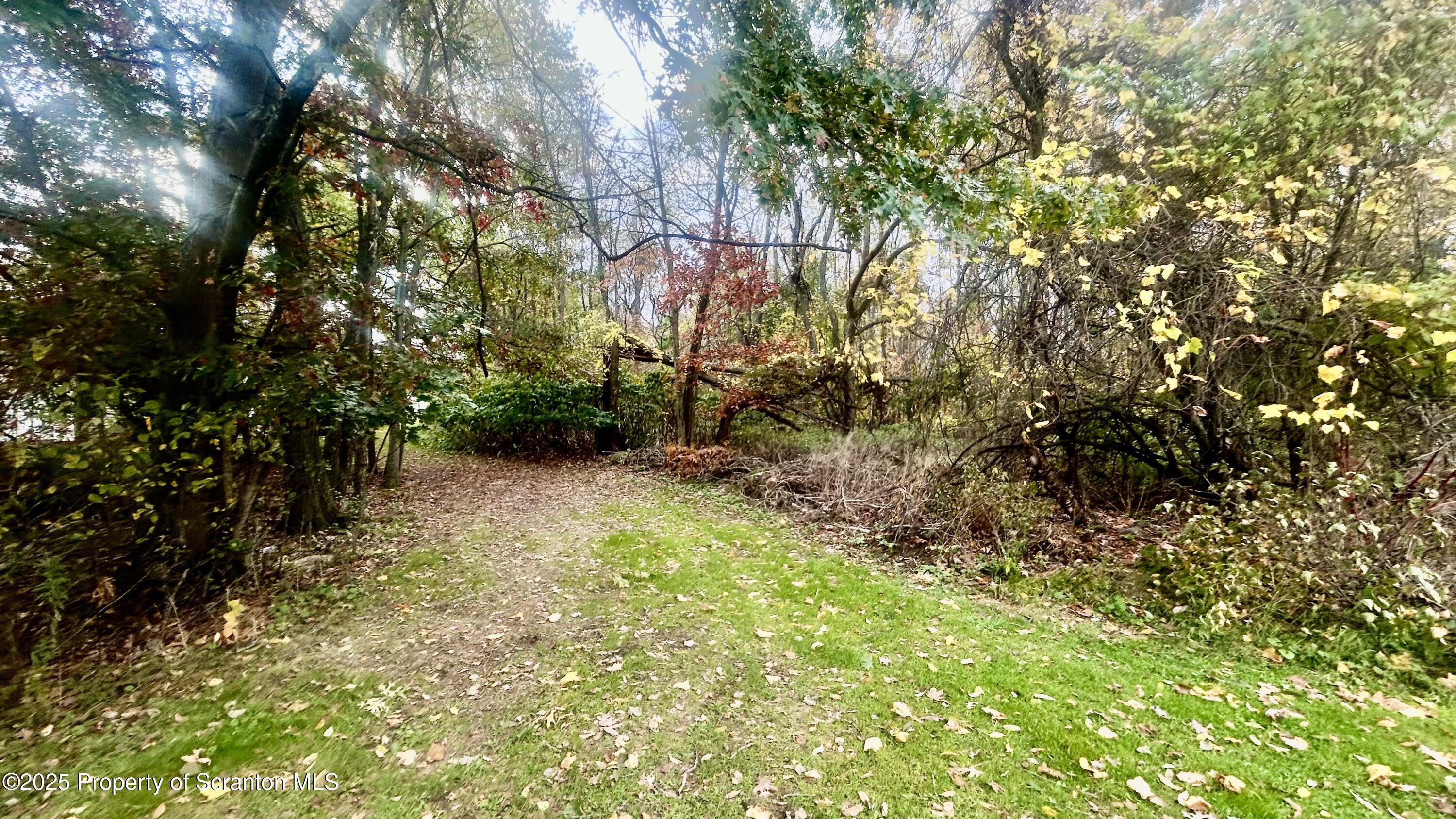 0 Hickory Street Archbald, PA 18403 - Photo 5 of 12 a view of yard with green space