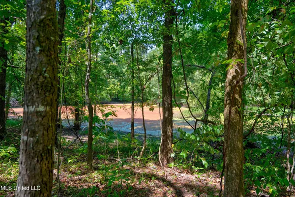 $200,000 | 4 Church Road, Walls, MS 38680