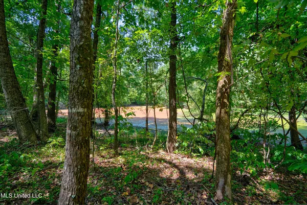 $200,000 | 4 Church Road, Walls, MS 38680