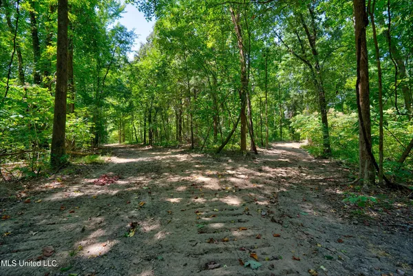 $200,000 | 4 Church Road, Walls, MS 38680