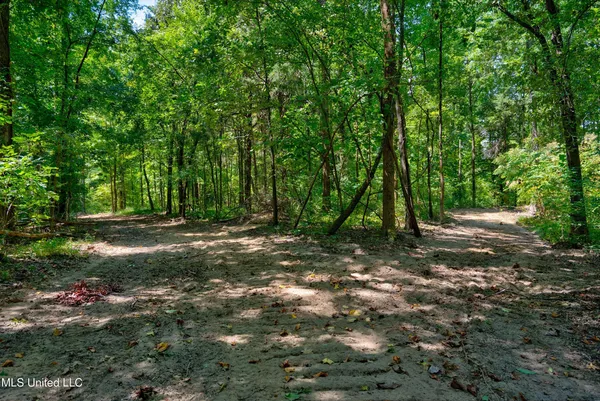 $200,000 | 4 Church Road, Walls, MS 38680