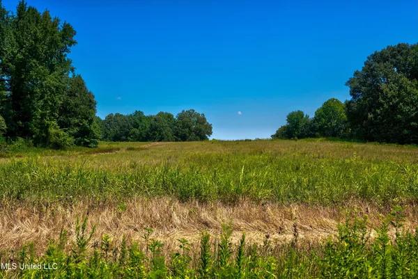 $200,000 | 4 Church Road, Walls, MS 38680