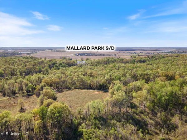 $200,000 | 4 Church Road, Walls, MS 38680