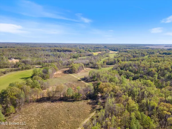 $200,000 | 4 Church Road, Walls, MS 38680