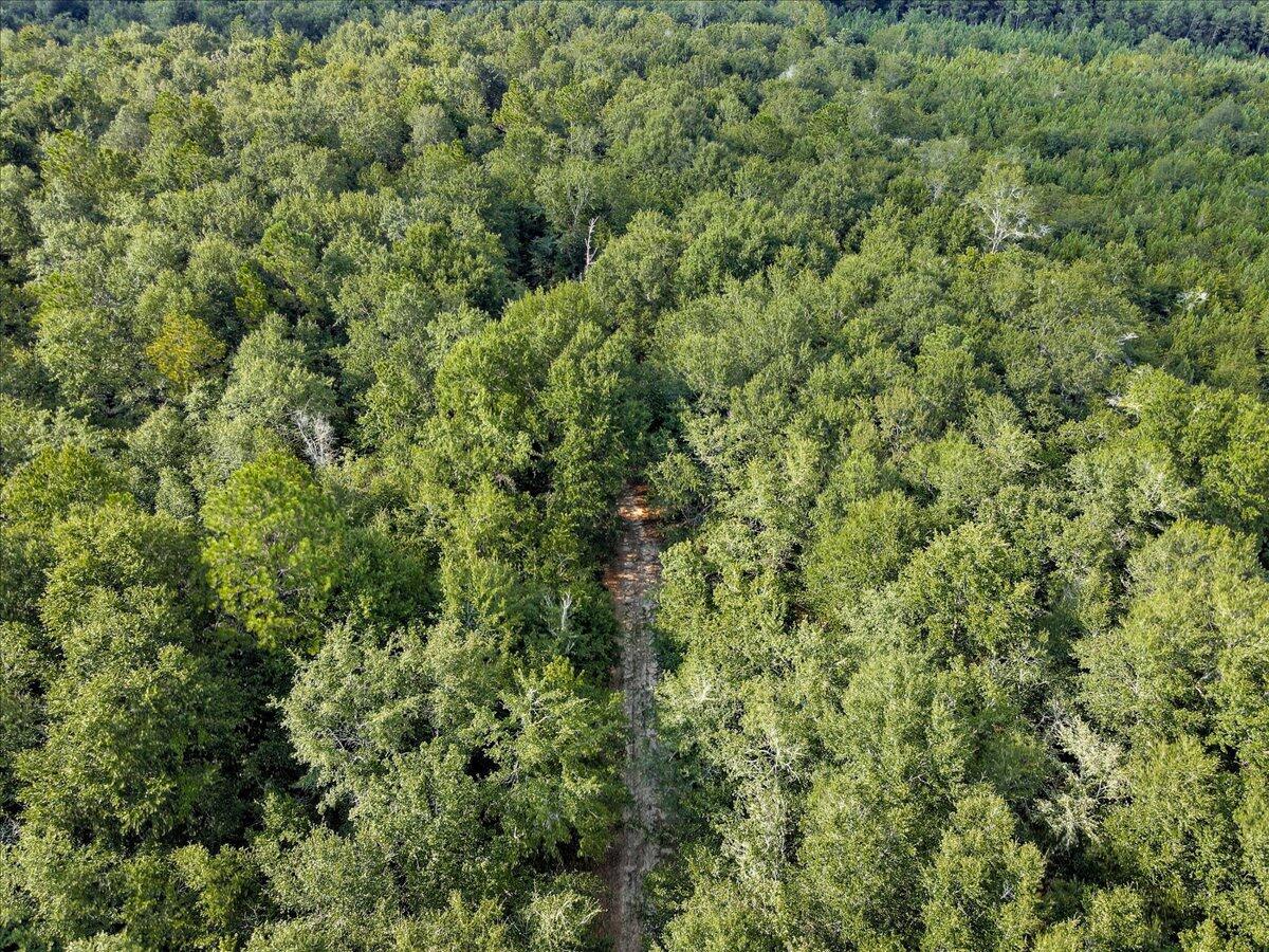 0 Millers Pond Road, Unit 7 Salley, SC 29137 - Photo 9 of 22 Gallery Image 9