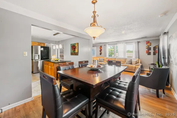 a view of a dining room and livingroom with furniture wooden floor a rug a potted plant and a chandelier
