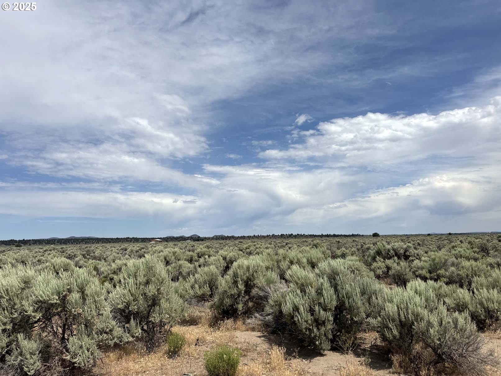 Millican Road, Unit 1102 Christmas Valley, OR 97641 - Photo 1 of 28 Gallery Image 1