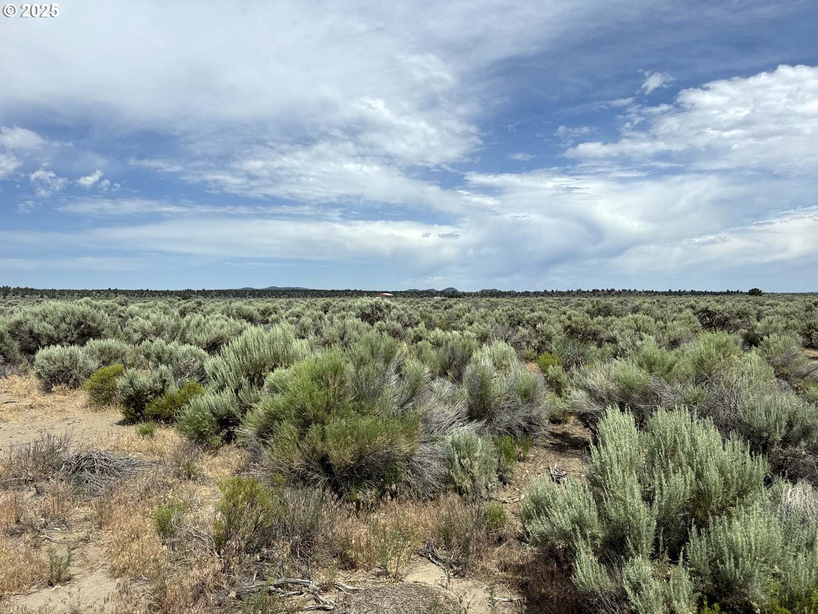 Millican Road, Unit 1102 Christmas Valley, OR 97641 - Photo 22 of 28 Gallery Image 22