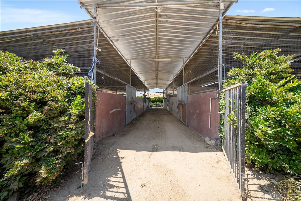 12605 Kagel Canyon Road Sylmar, CA 91342 - Photo 30 of 61 a view of a backyard