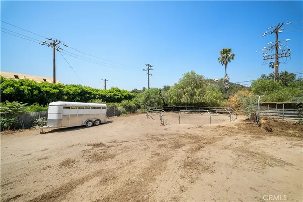 a view of a yard with plants and a tree