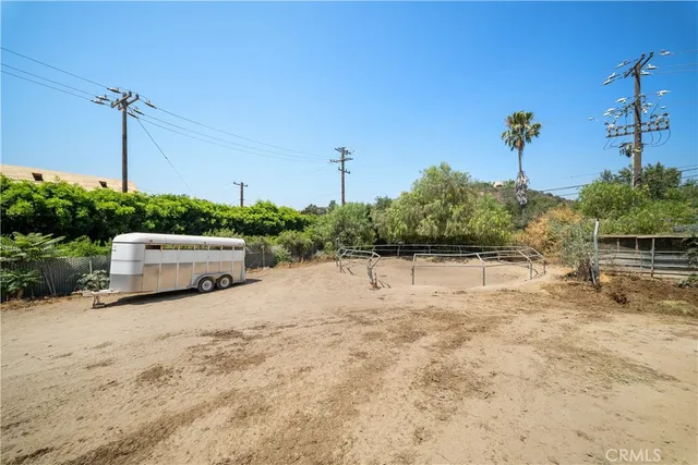 a view of a yard with plants and a tree