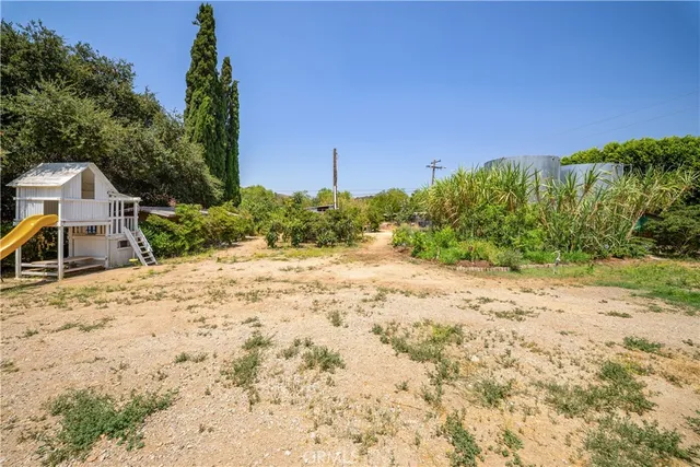 a view of a backyard with plants and a garden