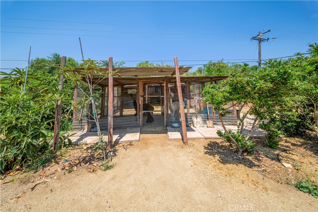 12605 Kagel Canyon Road Sylmar, CA 91342 - Photo 38 of 61 a view of a backyard with plants and a garden