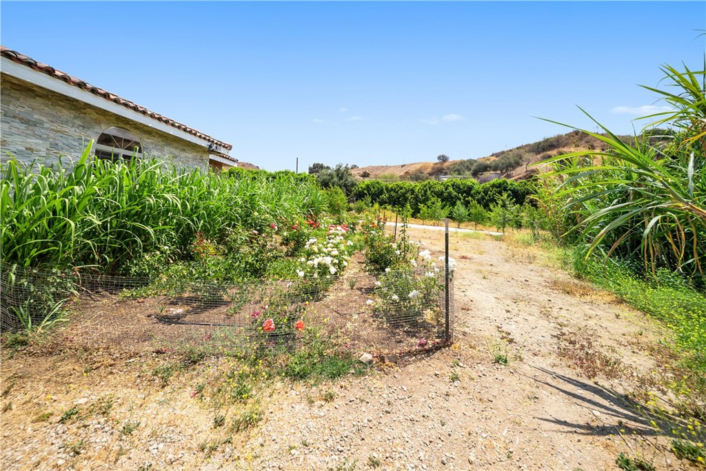 12605 Kagel Canyon Road Sylmar, CA 91342 - Photo 39 of 61 a backyard of a house with lots of green space