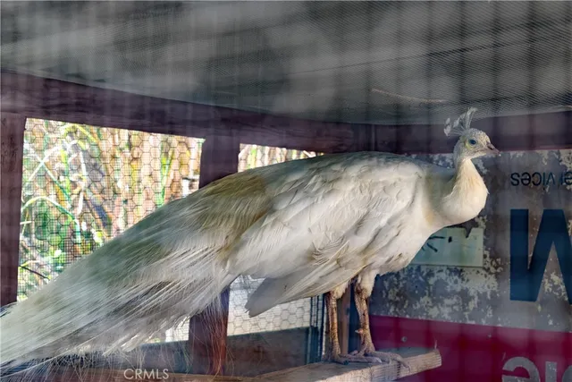 a view of lake and mountain