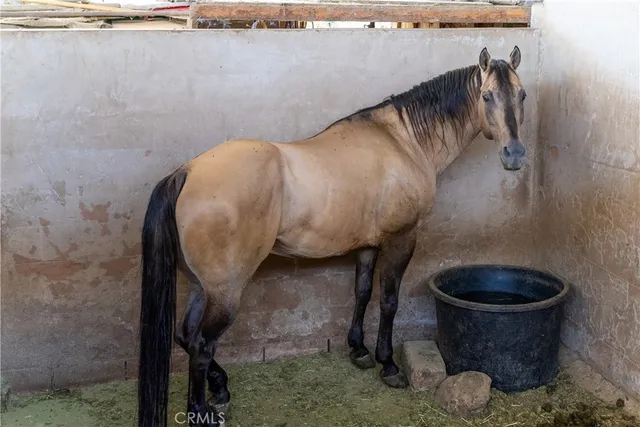 an aerial view of residential house with outdoor space