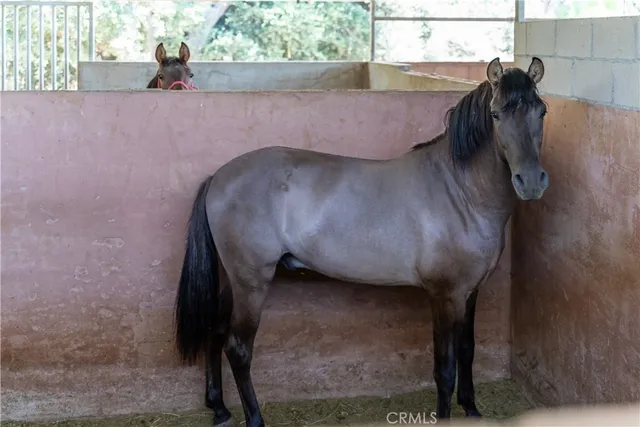 an aerial view of residential house with outdoor space and trees all around