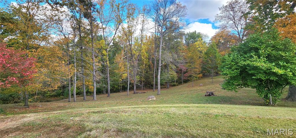 5 Forest Court Chester, IL 62233 - Photo 52 of 57