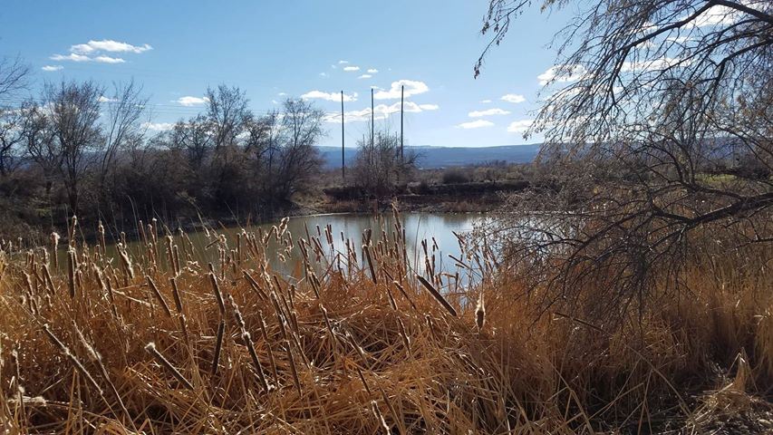357-29 29 5/8 Road Grand Junction, CO 81504 - Photo 21 of 22 Gallery Image 21