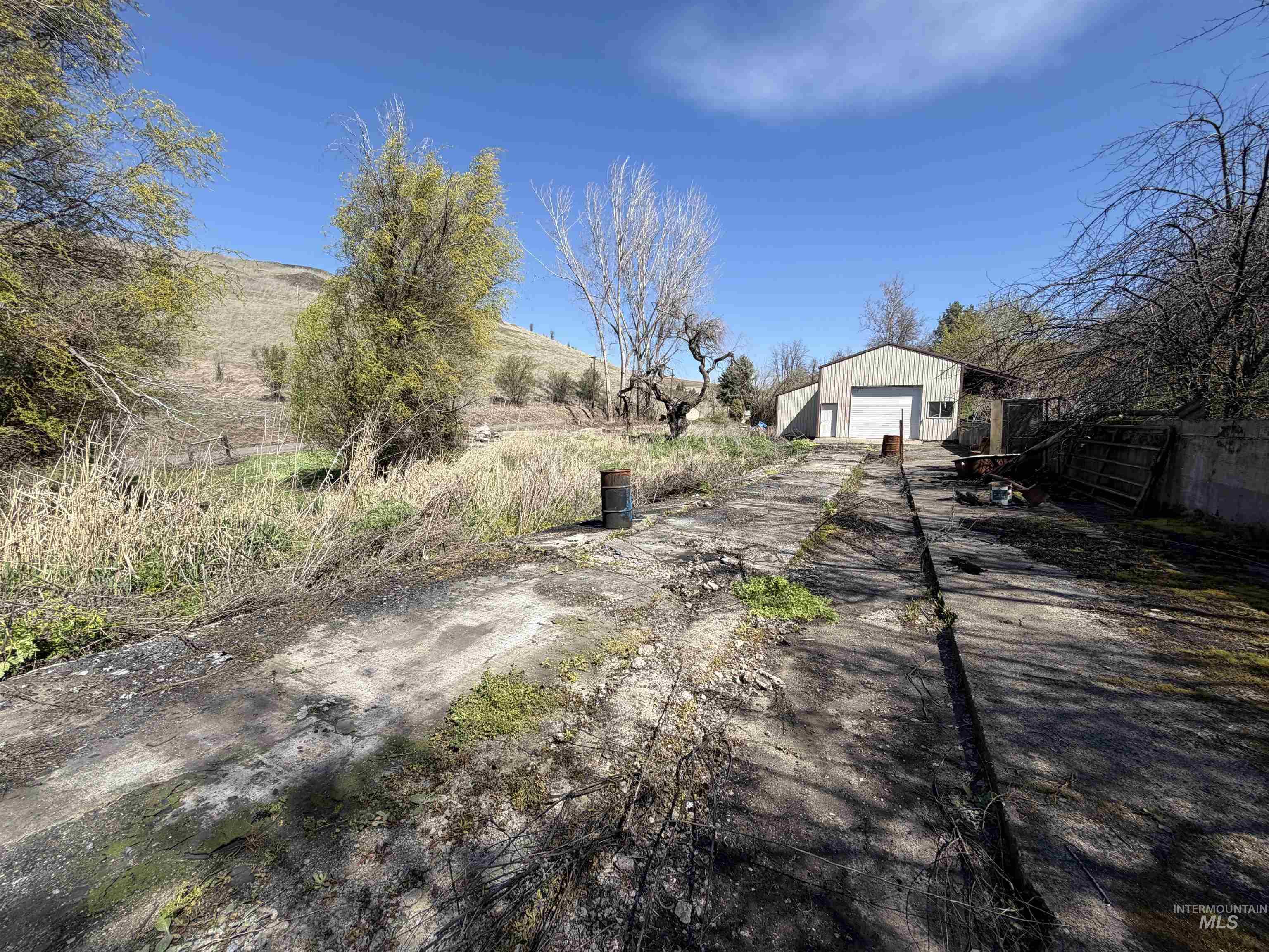 27474 North Tom Beall Road Lapwai, ID 83540 - Photo 24 of 50 View of yard with an outbuilding, driveway, and a garage