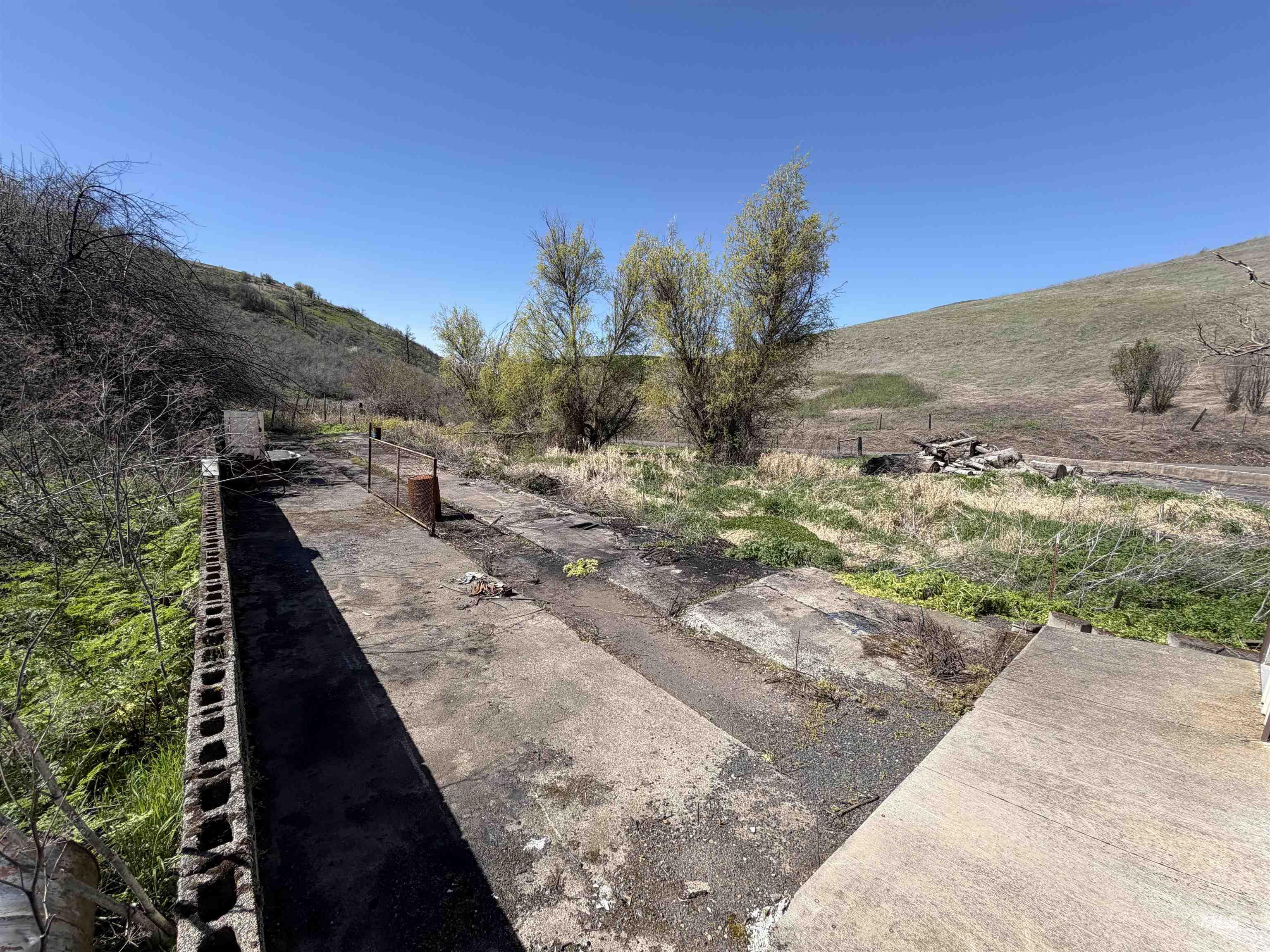 27474 North Tom Beall Road Lapwai, ID 83540 - Photo 25 of 50 View of yard