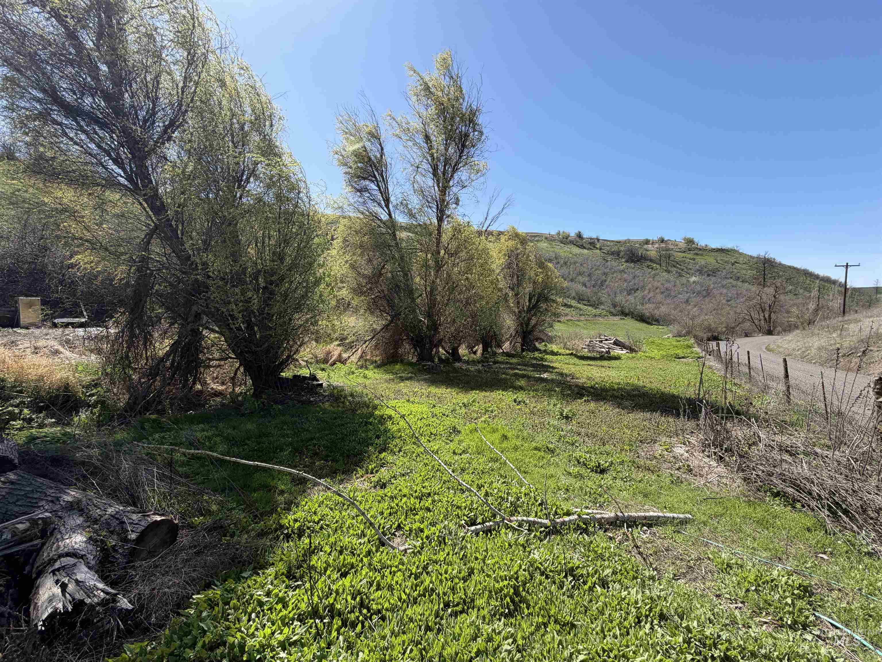 27474 North Tom Beall Road Lapwai, ID 83540 - Photo 26 of 50 View of yard with a view of rural / pastoral area