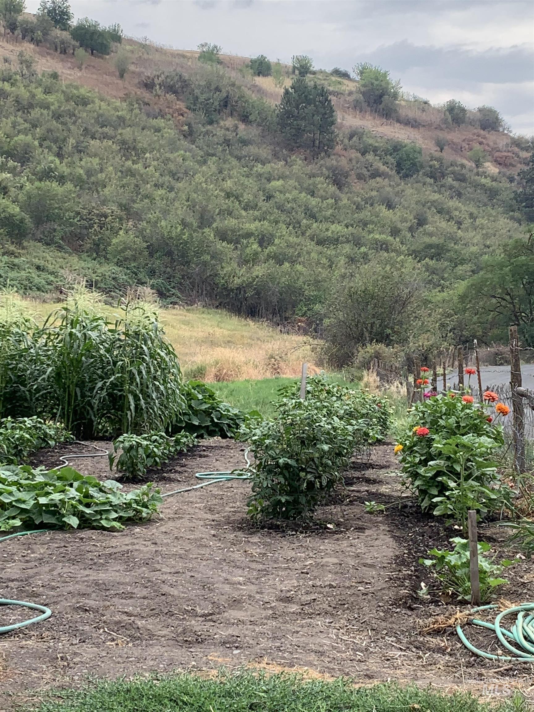 27474 North Tom Beall Road Lapwai, ID 83540 - Photo 27 of 50