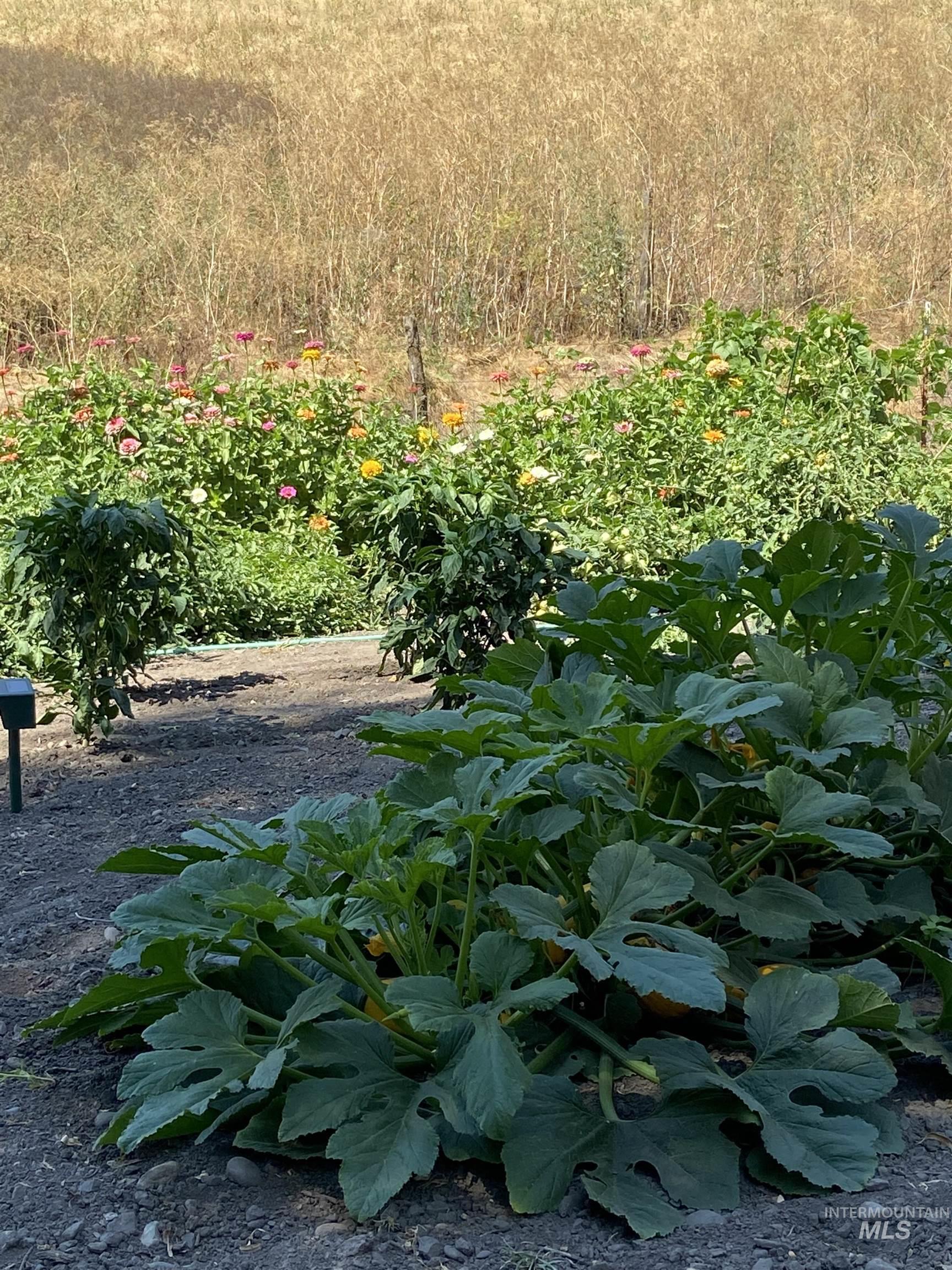 27474 North Tom Beall Road Lapwai, ID 83540 - Photo 28 of 50