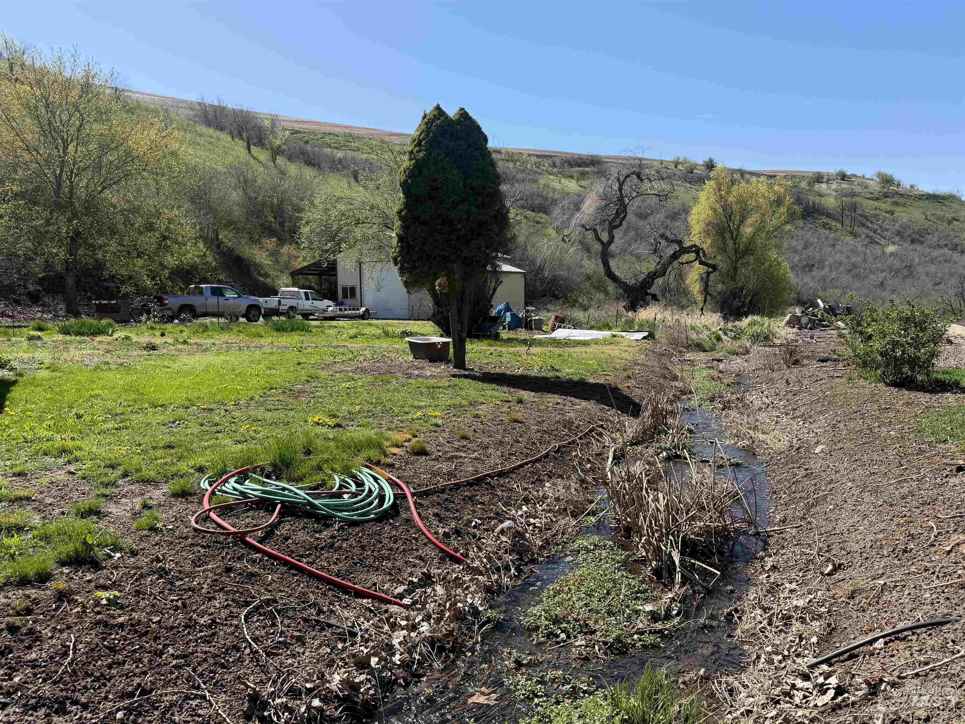 27474 North Tom Beall Road Lapwai, ID 83540 - Photo 8 of 50 View of yard with a view of rural / pastoral area
