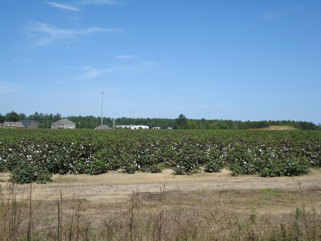 Tract B Powderhouse Road Southeast Aiken, SC 29803 - Photo 1 of 1