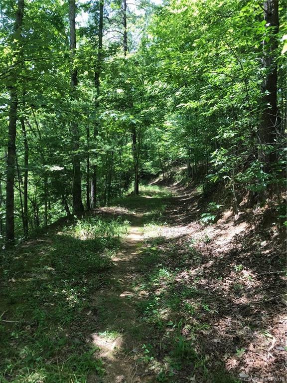 Lot #29-30 South Lot#29-30 S Cove Rd Mill Spring, Unit 29 & 30 Mill Spring, NC 28756 - Photo 4 of 10