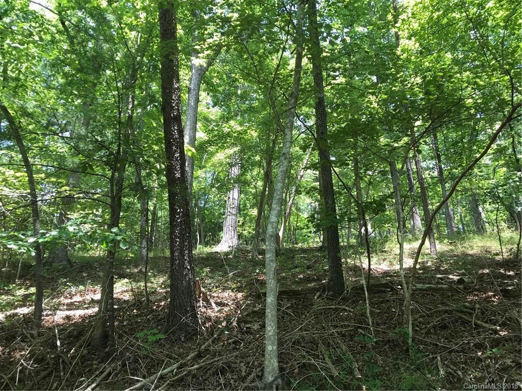 Lot #29-30 South Lot#29-30 S Cove Rd Mill Spring, Unit 29 & 30 Mill Spring, NC 28756 - Photo 5 of 10