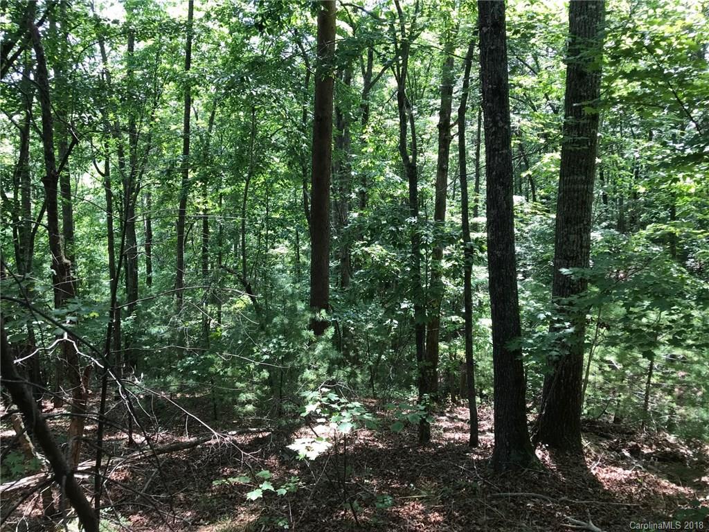 Lot #29-30 South Lot#29-30 S Cove Rd Mill Spring, Unit 29 & 30 Mill Spring, NC 28756 - Photo 6 of 10